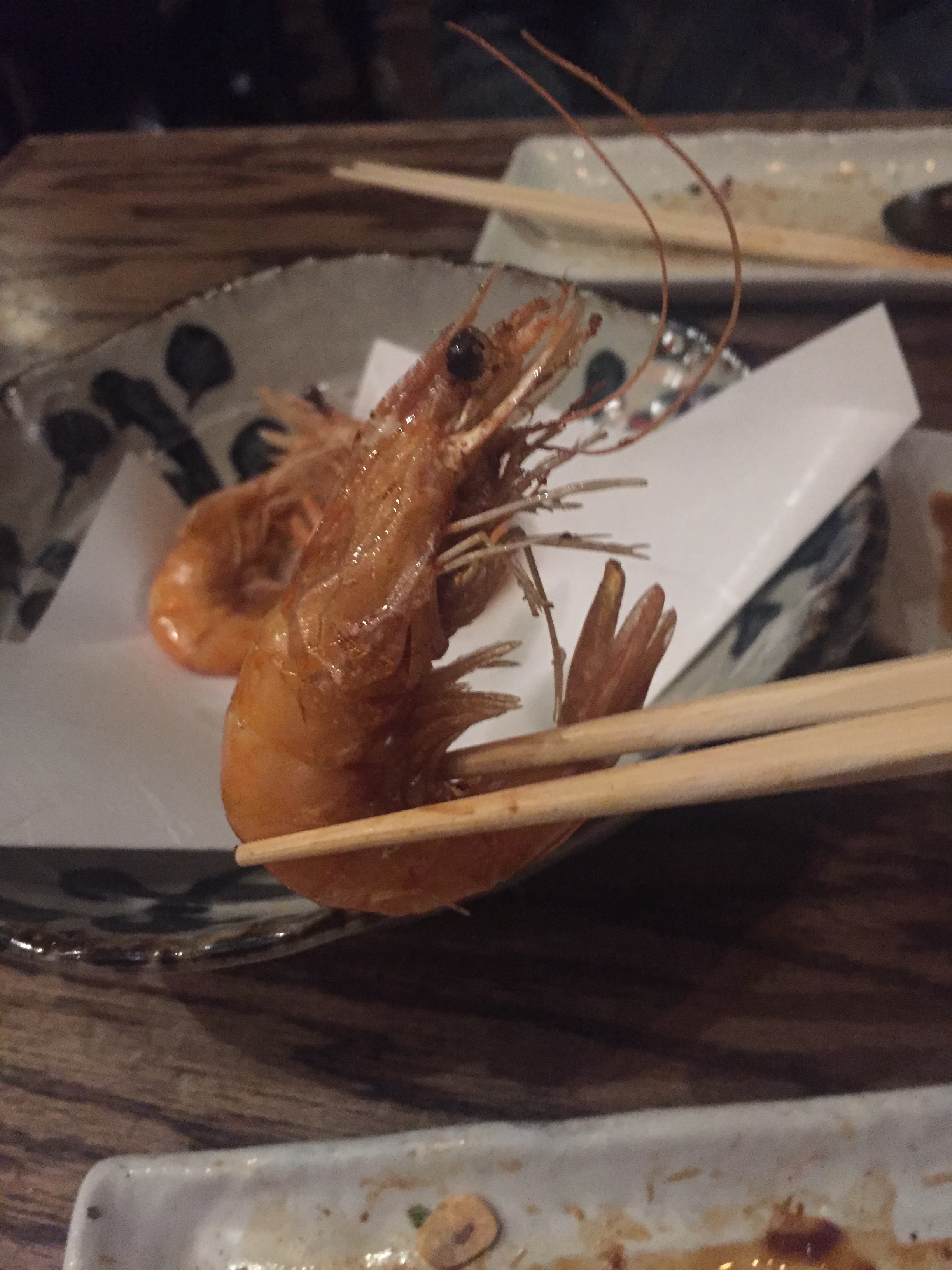 shrimp 1