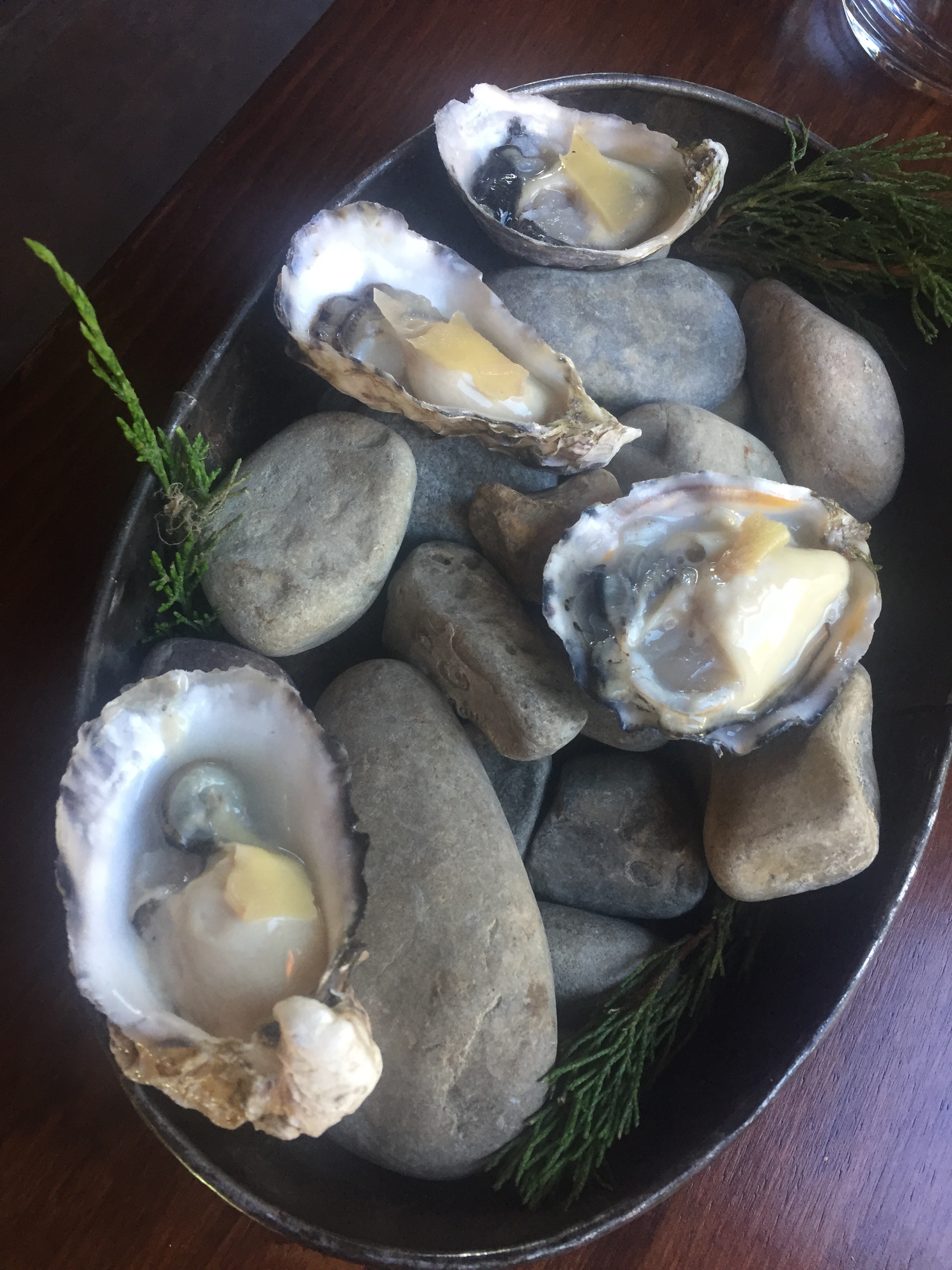 Oysters